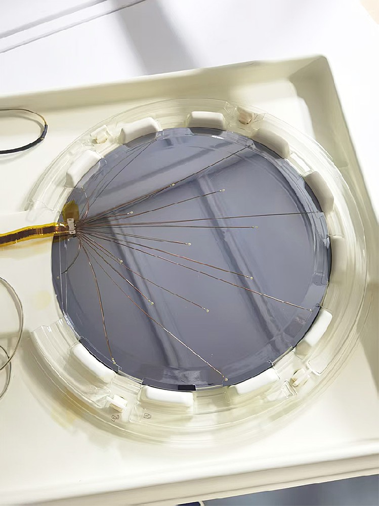 RTDWAFER测温晶圆